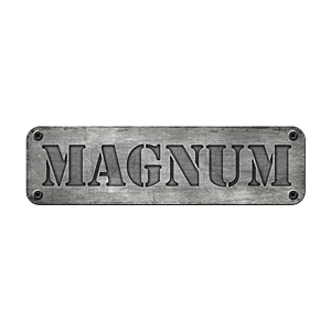 Trójmiasto atrakcje – Magnum Arena